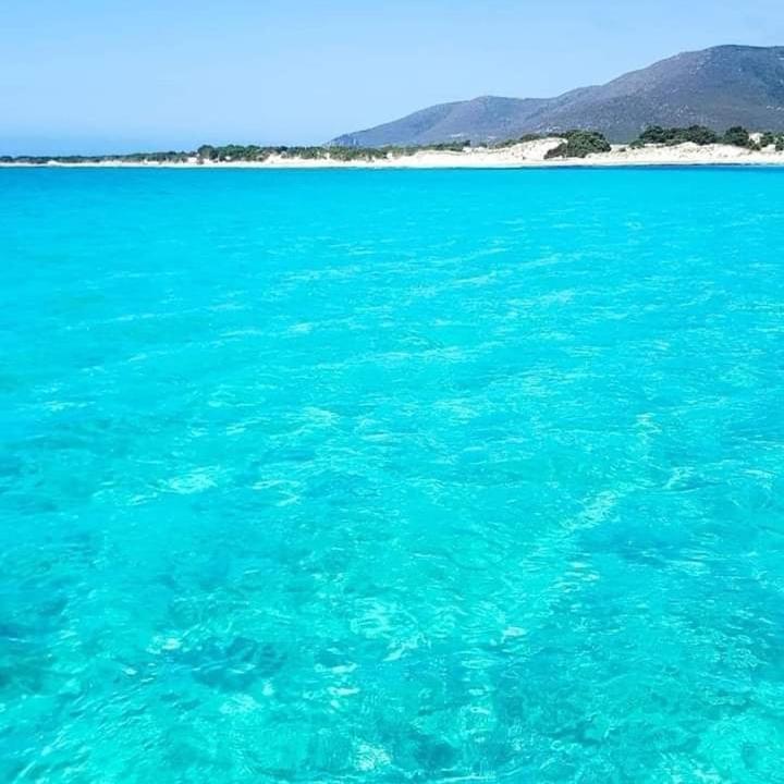 كاربونيا Casa Vacanze"Il Bouganville" المظهر الخارجي الصورة